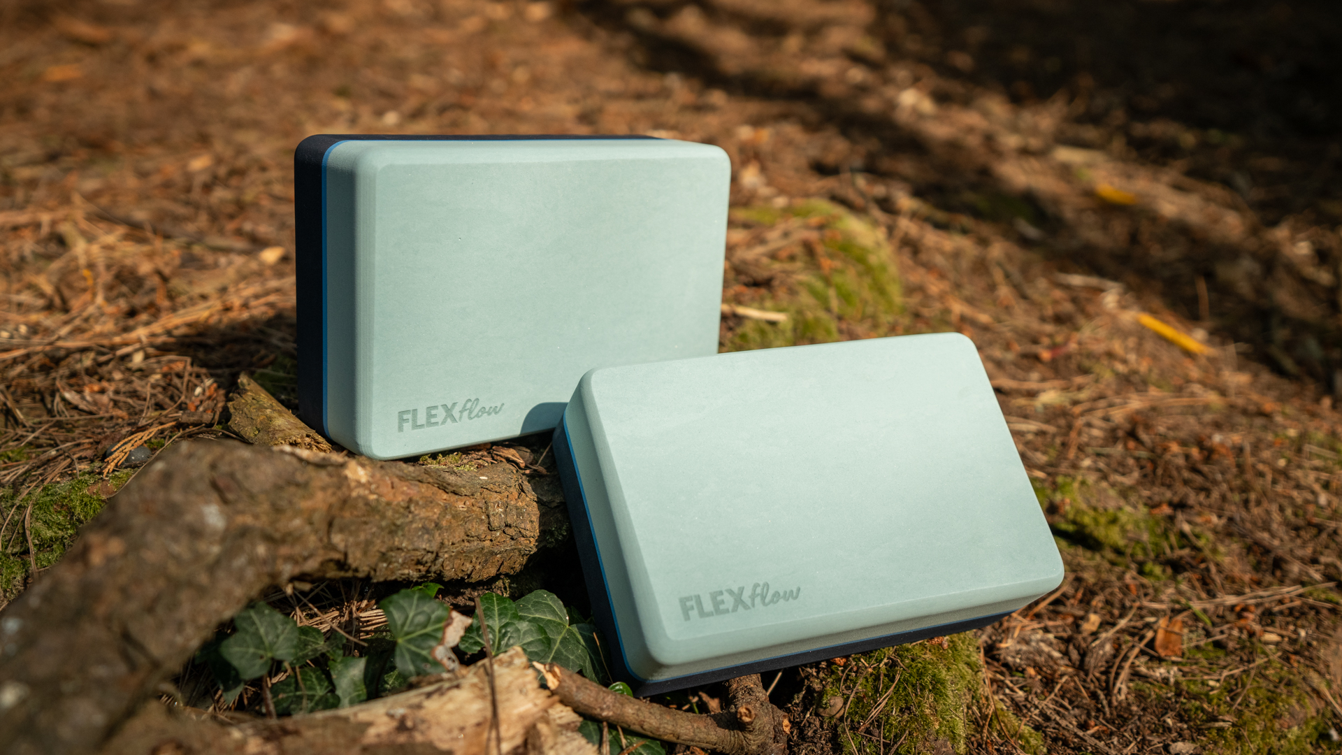 Yoga Blocks